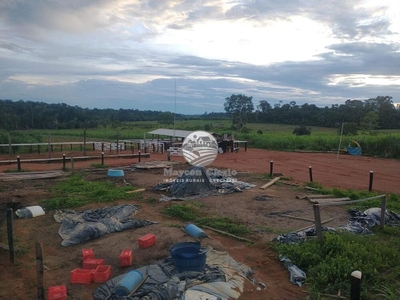 Fazenda-Sítio-Chácara - Foto 3