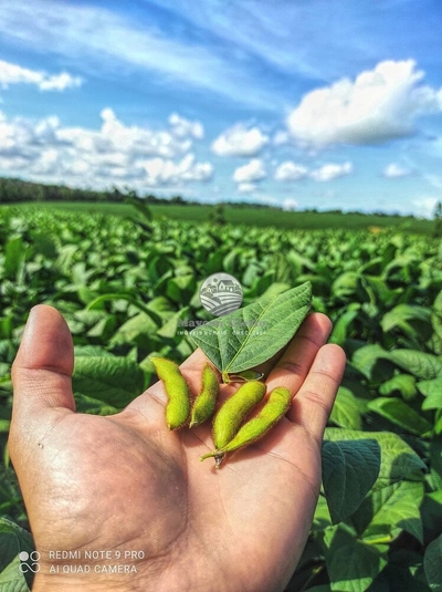 Fazenda-Sítio-Chácara - Foto 3