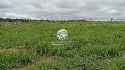 Fazenda-Sítio-Chácara - Foto 3