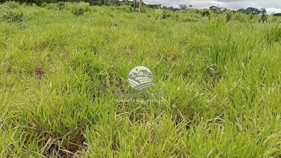 Fazenda-Sítio-Chácara - Foto 1