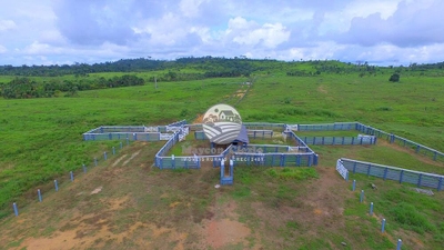 Fazenda-Sítio-Chácara - Foto 2