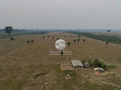 Sítio, 508000 m² - Foto 3