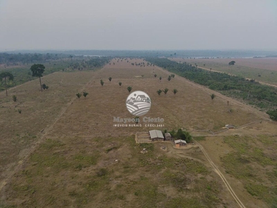 Sítio, 508000 m² - Foto 5