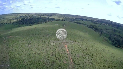 Sítio, 605000 m² - Foto 5