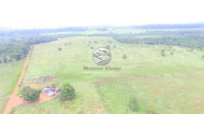 Fazenda-Sítio-Chácara - Foto 3