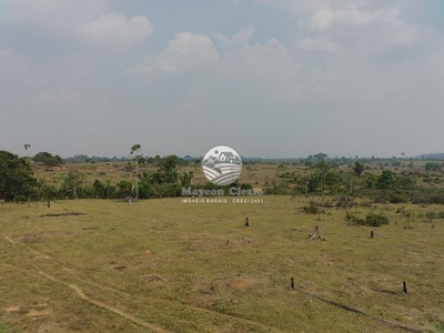 Sítio, 6530000 m² - Foto 3