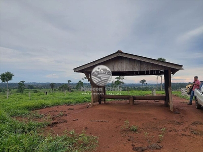 Fazenda-Sítio-Chácara - Foto 3
