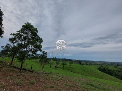 Fazenda-Sítio-Chácara - Foto 5