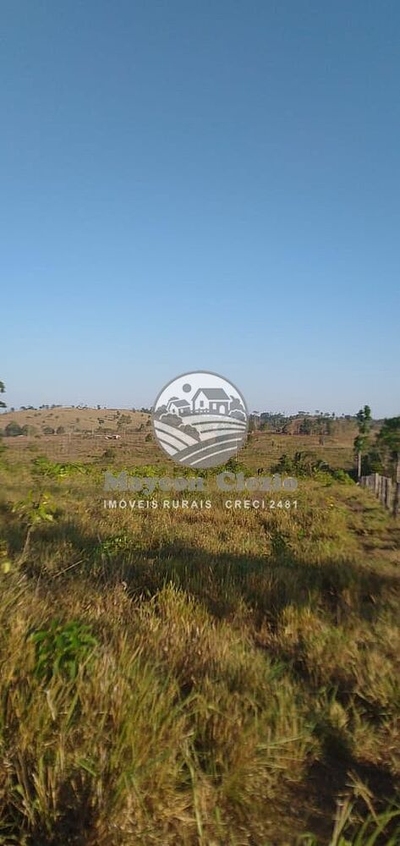 Fazenda-Sítio-Chácara - Foto 3