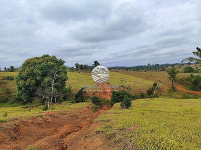 Fazenda-Sítio-Chácara - Foto 3
