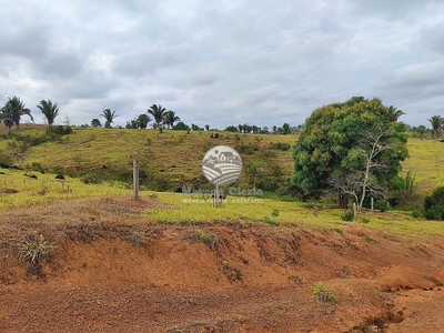 Fazenda-Sítio-Chácara - Foto 5