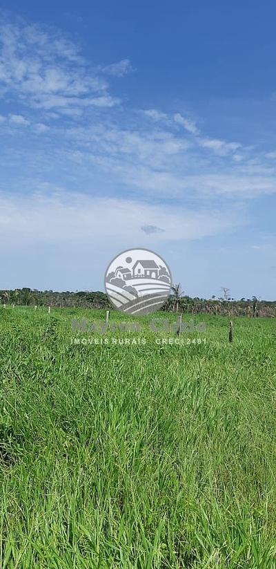 Fazenda-Sítio-Chácara - Foto 2