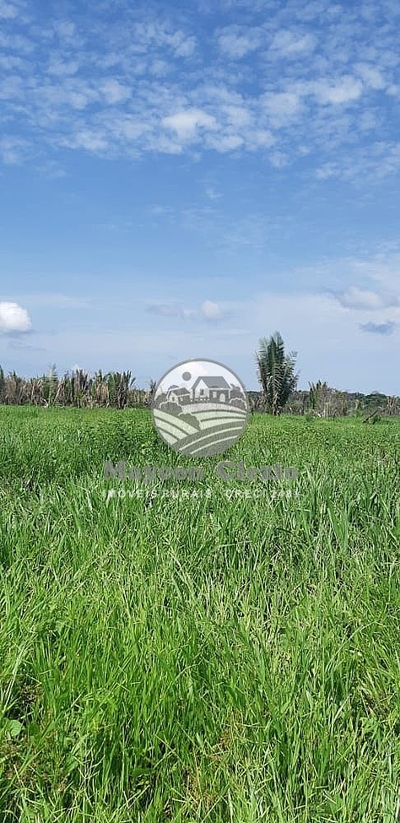 Fazenda-Sítio-Chácara - Foto 4