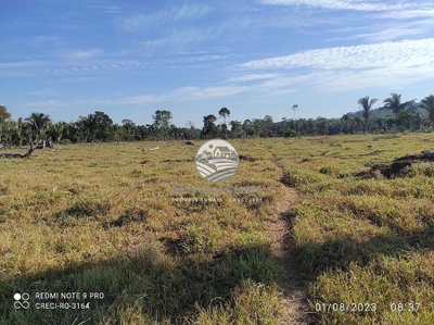 Sítio, 1450000 m² - Foto 1