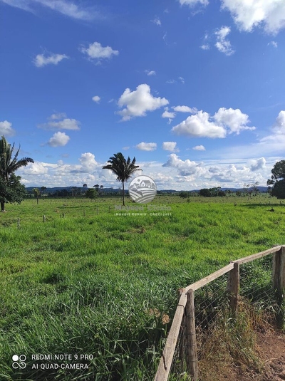 Sítio, 710000 m² - Foto 2