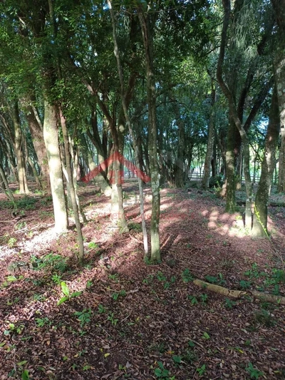 Fazenda-Sítio-Chácara - Foto 3