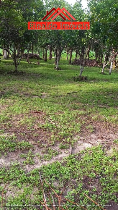 Chácara, 3 quartos - Foto 1