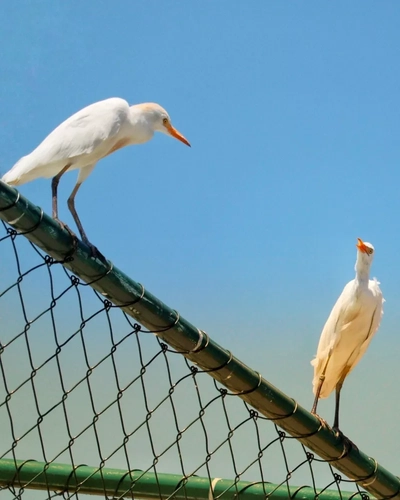 Terreno, 240 m² - Foto 4