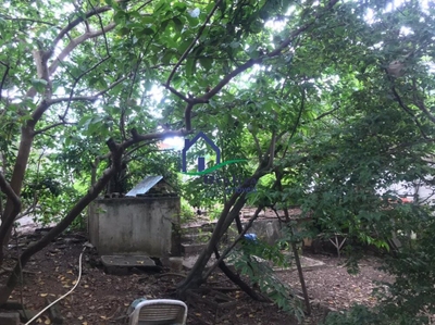 Terreno, 360 m² - Foto 3