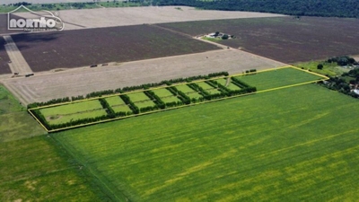 Casa, 1 quarto, 72000 m² - Foto 3