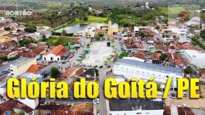 Terreno, 3 hectares - Foto 4