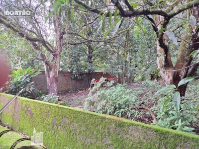 Casa, 4 quartos, 41 m² - Foto 3