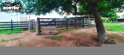 Casa, 4 quartos, 92800 m² - Foto 3