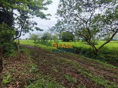 Terreno, 2 hectares - Foto 4