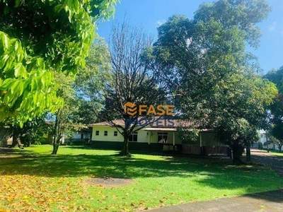 Depósito-Galpão, 9600 m² - Foto 2