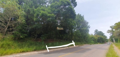 Terreno, 535 m² - Foto 3