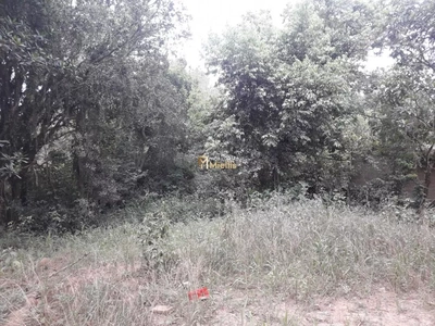 Terreno, 4431 m² - Foto 4