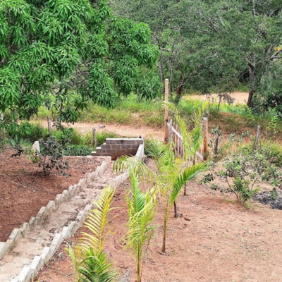 Chácara, 2 quartos, 1000 m² - Foto 4