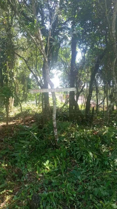 Terreno, 267 m² - Foto 4