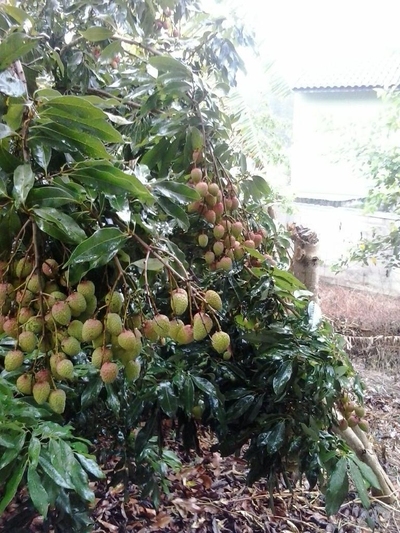 Casa, 2 quartos, 110 m² - Foto 1