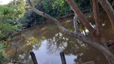 Terreno, 2300 m² - Foto 5