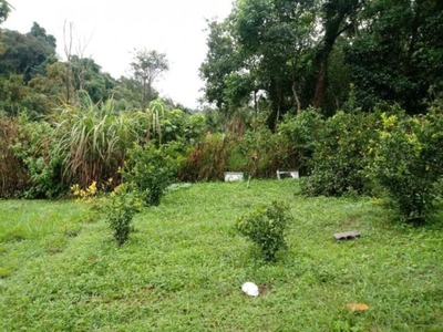 Chácara, 1 quarto, 1162 m² - Foto 1