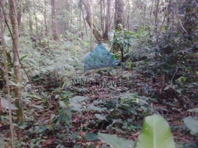 Terreno, 1764 m² - Foto 4