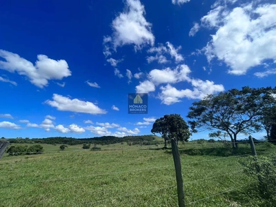Fazenda-Sítio-Chácara, 252 hectares - Foto 3
