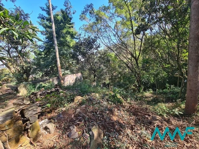 Terreno, 1466 m² - Foto 4