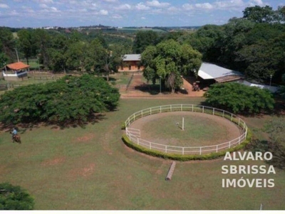 Fazenda-Sítio-Chácara, 80 hectares - Foto 5