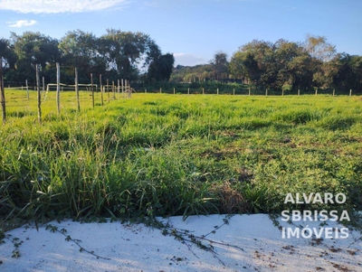 Terreno, 250 m² - Foto 1