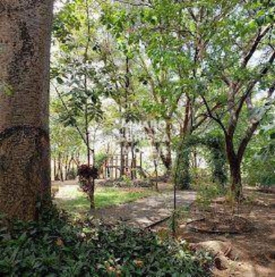 Loteamento e Condomínio, 243 m² - Foto 3