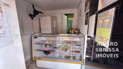 Casa, 4 quartos, 103 m² - Foto 4