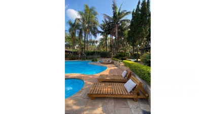 Sítio, 4 quartos, 3 hectares - Foto 3