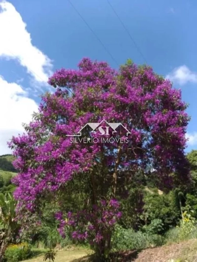 Terreno, 2 hectares - Foto 4