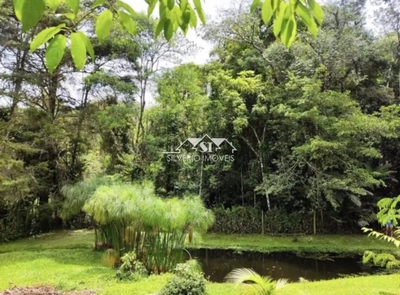 Sítio, 2 quartos, 4200 m² - Foto 2