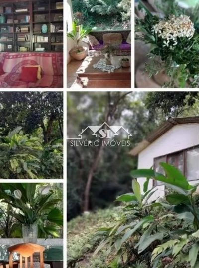 Terreno, 3 hectares - Foto 4