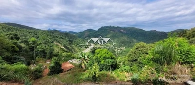 Chácara, 2 quartos, 3500 m² - Foto 4