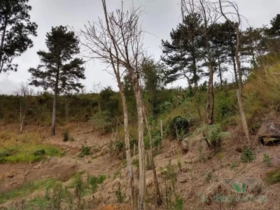 Terreno, 8582 m² - Foto 1