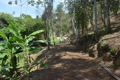 Terreno, 9560 m² - Foto 5